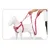 Laisse chien Truelove Pull Spécial Edition Flower Laisse chien Truelove Pull Spécial Edition Flower