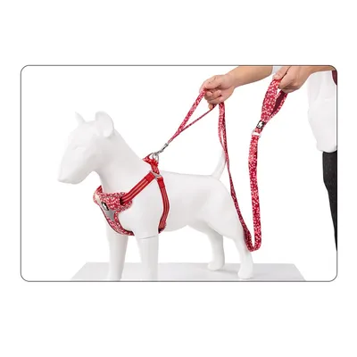 Laisse chien Truelove Pull Spécial Edition Flower Laisse chien Truelove Pull Spécial Edition Flower