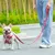 Laisse chien Truelove Pull Spécial Edition Flower Laisse chien Truelove Pull Spécial Edition Flower