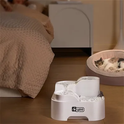 Direct Power Biberon d'eau automatique pour chats et chiens