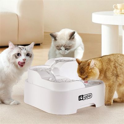 Direct Power Biberon d'eau automatique pour chats et chiens