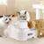 Direct Power Biberon d'eau automatique pour chats et chiens