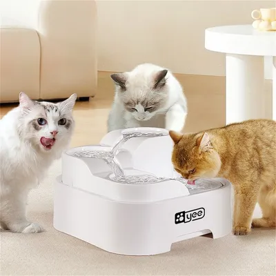 Direct Power Biberon d'eau automatique pour chats et chiens