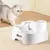 Direct Power Biberon d'eau automatique pour chats et chiens