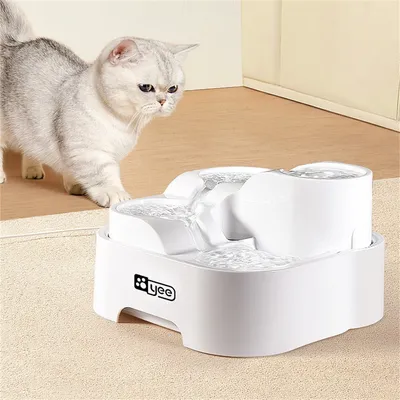 Direct Power Biberon d'eau automatique pour chats et chiens