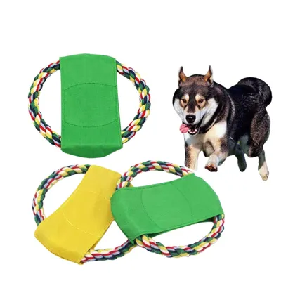 Direct Power  Frisbee en toile pour chien