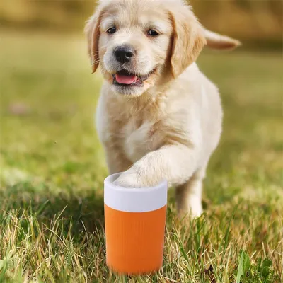 IntiMeg Coupe de lavage des pattes pour animaux de compagnie intelligent