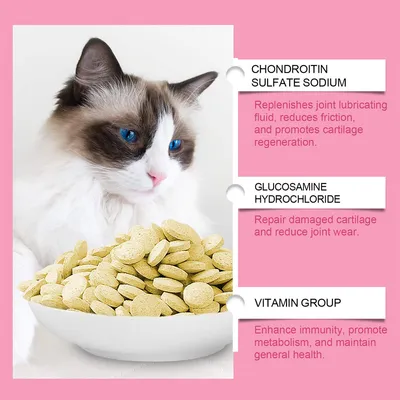 Direct Power Comprimés de soin articulaire pour chats