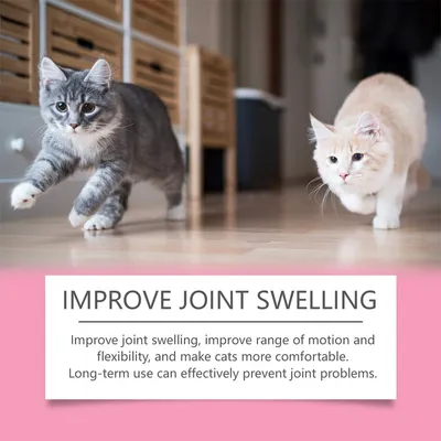 Direct Power Comprimés de soin articulaire pour chats