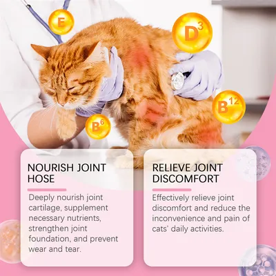 Direct Power Comprimés de soin articulaire pour chats