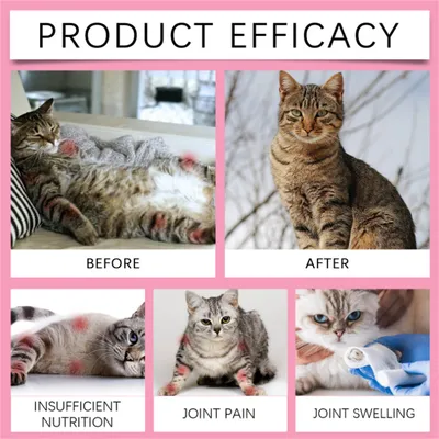 Direct Power Comprimés de soin articulaire pour chats