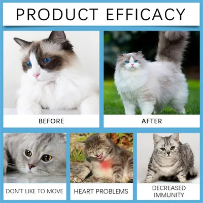 Direct Power Comprimés de coenzyme pour chats