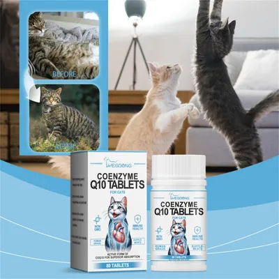 ZenPets Direct Power Comprimés de coenzyme pour chats