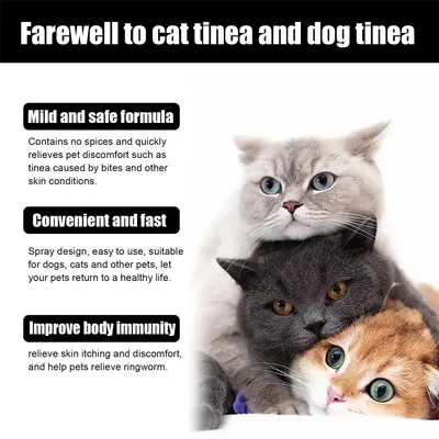 Direct Power Spray contre la teigne pour chats