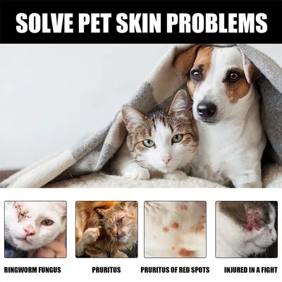 Direct Power Spray contre la teigne pour chats