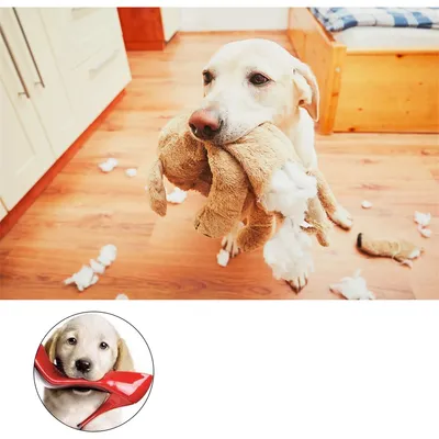 IntiMeg Spray anti - mâchouillage amère pour animaux de compagnie