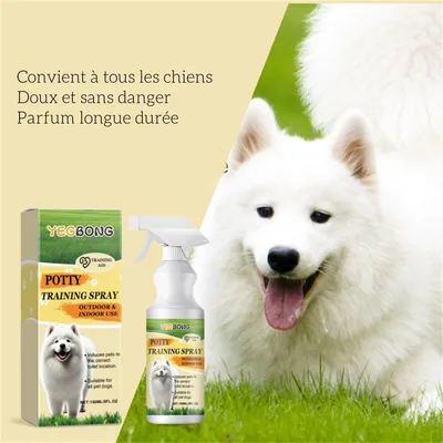 Jet de toilette à puissance directe