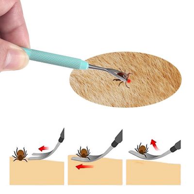 Direct Power Kit de vermifugation pour chats et chiens, 2 pièces