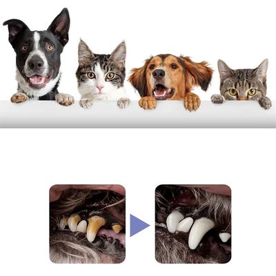 IntiMeg Spray limpiador dental para gatos y perros