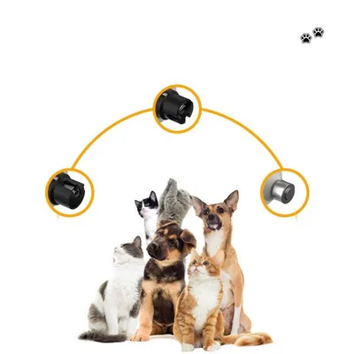 Direct Power Tondeuse à griffes électrique pour chien et chat