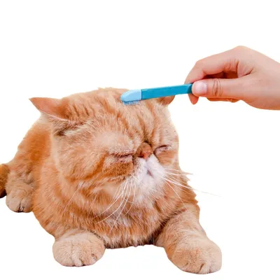 ZenPets Direct Power Brosse de nettoyage des yeux pour chien et chat