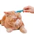 Direct Power Brosse de nettoyage des yeux pour chien et chat