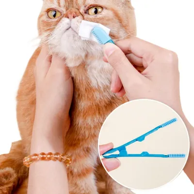 Direct Power Brosse de nettoyage des yeux pour chien et chat