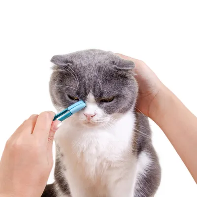 ZenPets Direct Power Brosse de nettoyage des yeux pour chien et chat