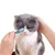 Direct Power Brosse de nettoyage des yeux pour chien et chat