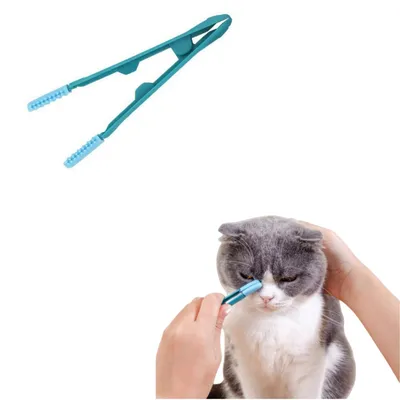 ZenPets Direct Power Brosse de nettoyage des yeux pour chien et chat