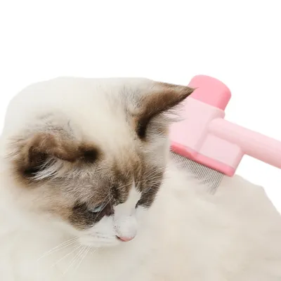 Direct Power Peigne à poils pour chien et chat