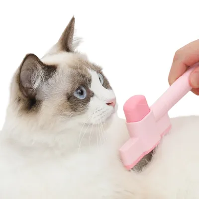 Direct Power Peigne à poils pour chien et chat