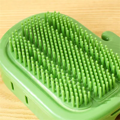 IntiMeg Produit combiné gratter - chat et baguette à chat