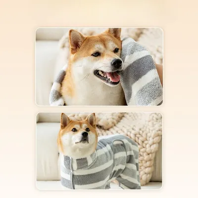 Direct Power Peignoir pour chien