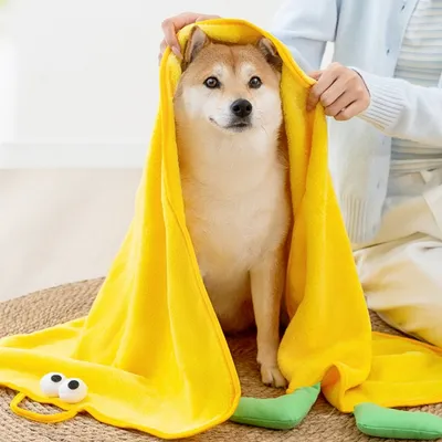 Direct Power Serviette de bain pour chien