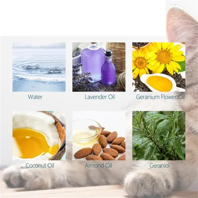 Direct Power Antiparasitaire pour chats et chiens