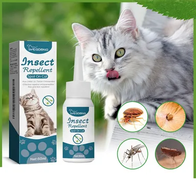 Direct Power Antiparasitaire pour chats et chiens