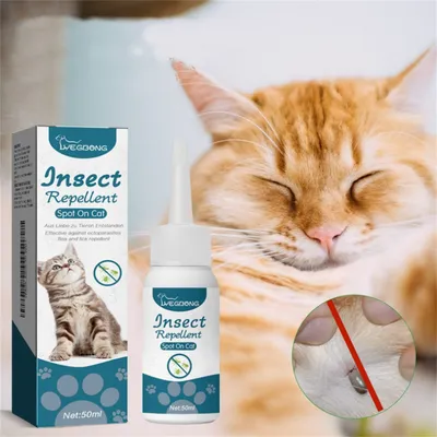 Direct Power Antiparasitaire pour chats et chiens