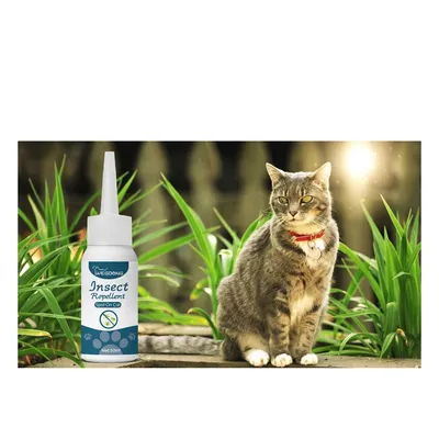 Direct Power Antiparasitaire pour chats et chiens