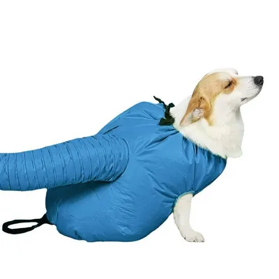 ZenPets Direct Power Sac de séchage pour chien et chat