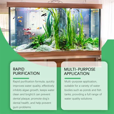 Direct Power Désalgueur et Clarifiant d'Eau pour Aquarium