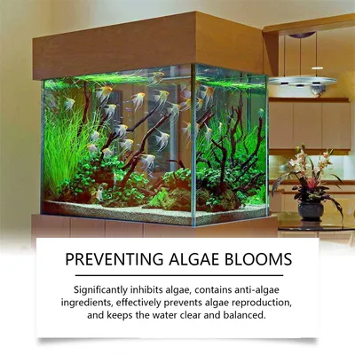 Direct Power Désalgueur et Clarifiant d'Eau pour Aquarium