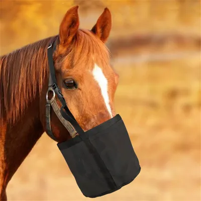 Sac - Sac à fourrage pour cheval