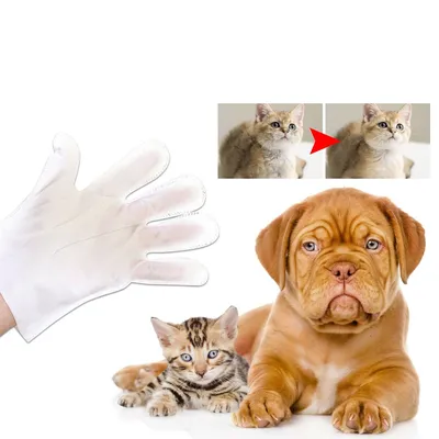 Direct Power Gants de nettoyage pour animaux de compagnie
