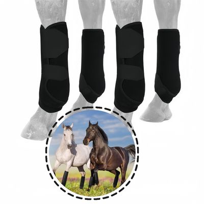 Protège - jarrets pour cheval