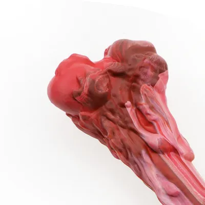 Direct Power Os en caoutchouc pour chiens