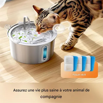 IntiMeg Filtro dispensador de agua de ocho piezas