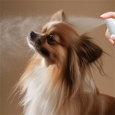 Direct Power Spray anti-nœuds pour poils d'animaux