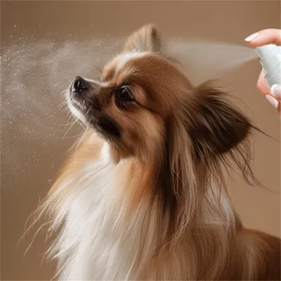 Direct Power Spray anti-nœuds pour poils d'animaux