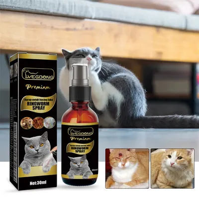IntiMeg Spray anti-dermatite poor chats en cheins